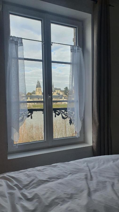Gites Des Cygnes Vue Sur Loire Et Linge Inclus بلْوا المظهر الخارجي الصورة